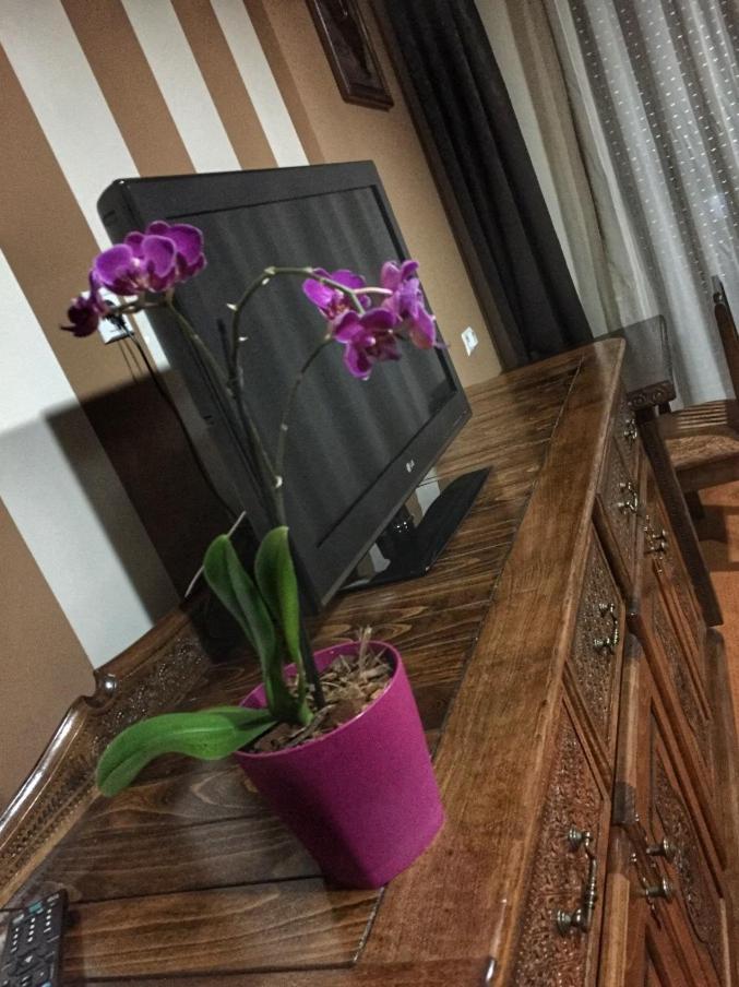 Hotel Oaza Кониц Экстерьер фото